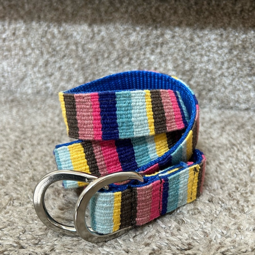 A Tail We Could Wag women’s striped belt with silver buckle. Colorful. Dog lover
